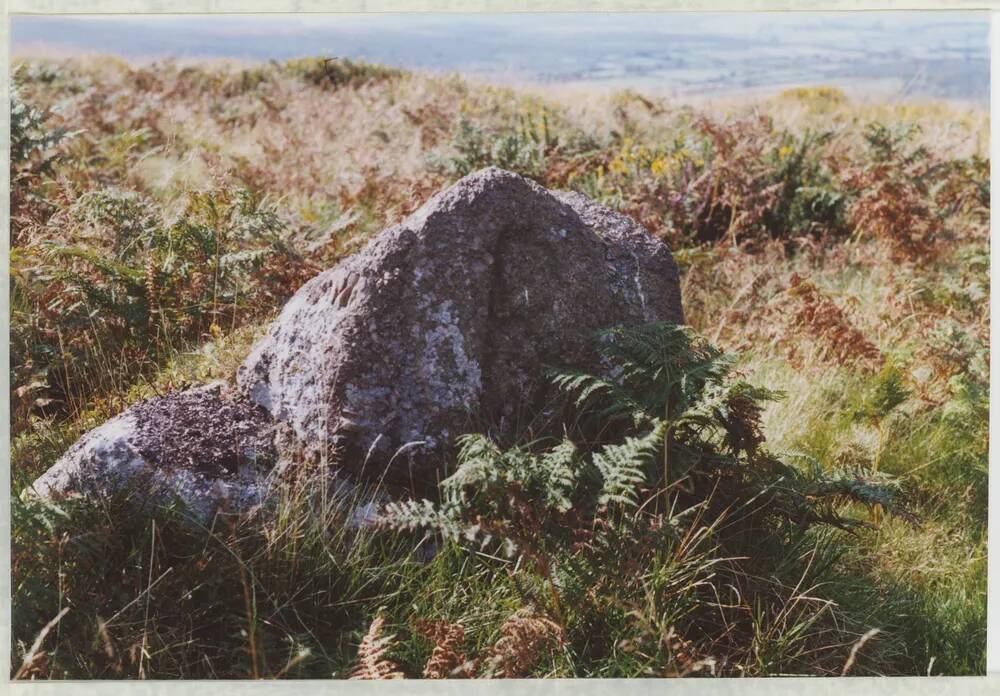 An image from the Dartmoor Trust Archive