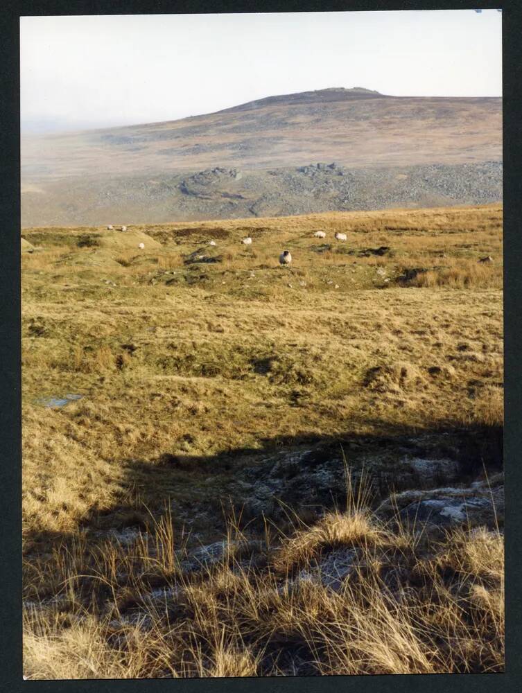 An image from the Dartmoor Trust Archive