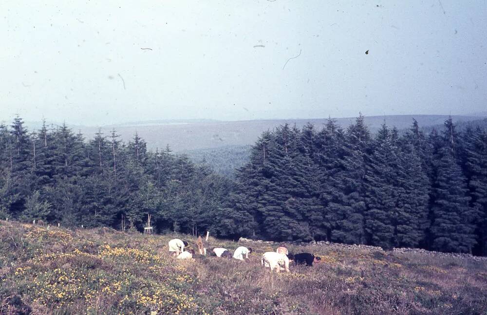 An image from the Dartmoor Trust Archive