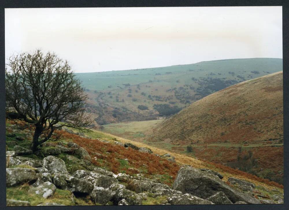 An image from the Dartmoor Trust Archive