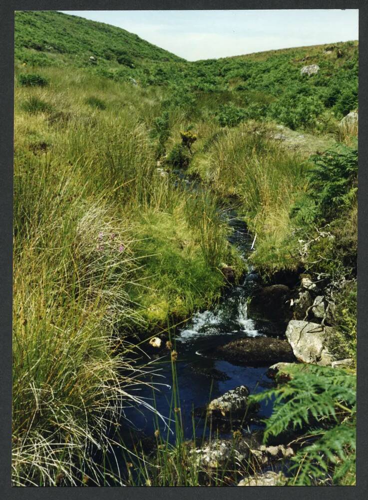 An image from the Dartmoor Trust Archive