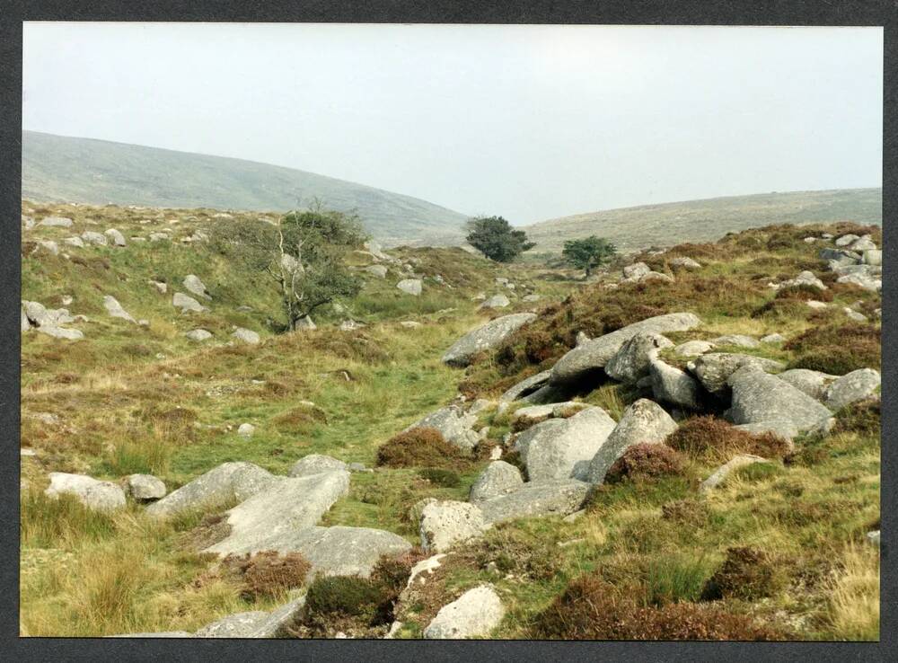 An image from the Dartmoor Trust Archive