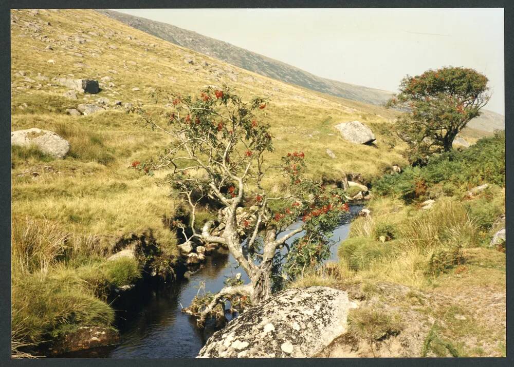 An image from the Dartmoor Trust Archive