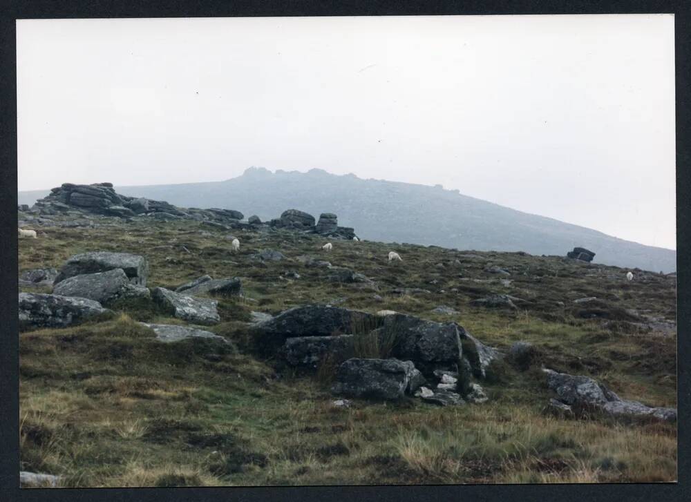 An image from the Dartmoor Trust Archive