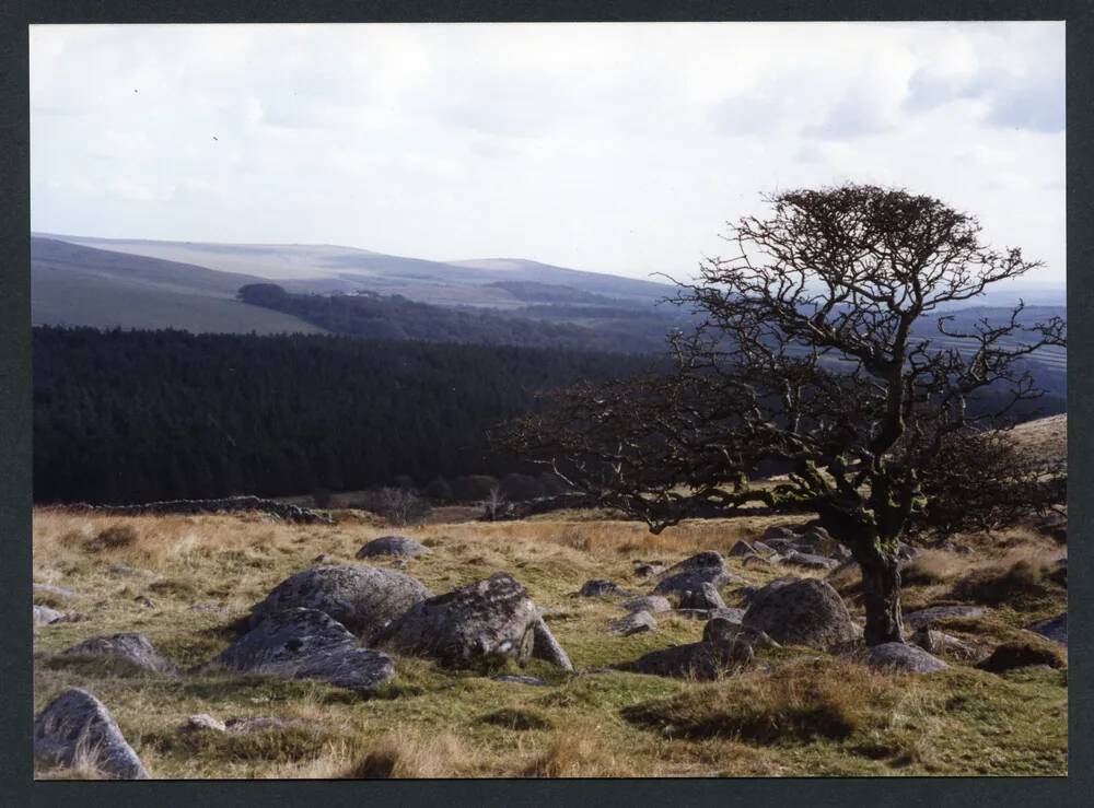 An image from the Dartmoor Trust Archive