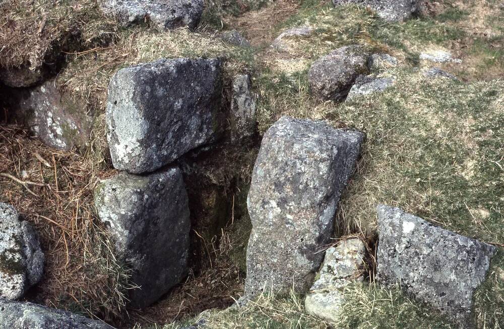 An image from the Dartmoor Trust Archive