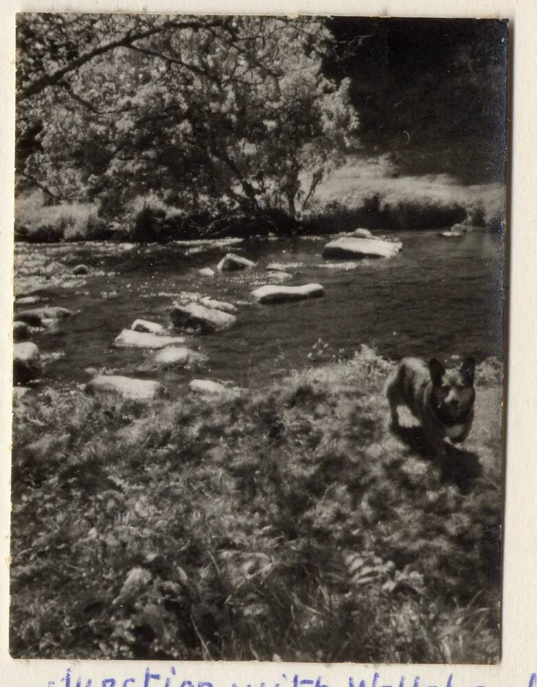 East Dart River at the junction with the Walla Brook