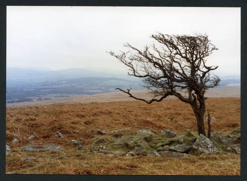 An image from the Dartmoor Trust Archive