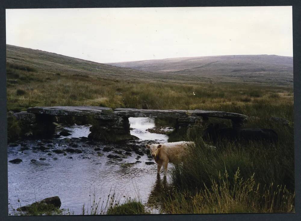 An image from the Dartmoor Trust Archive