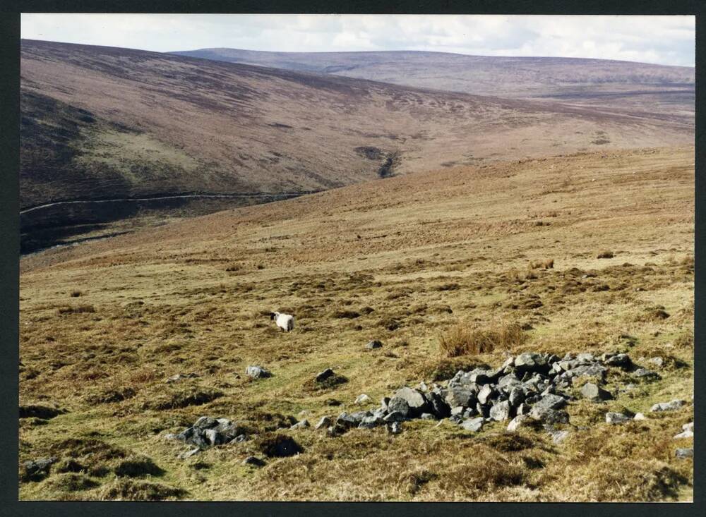 An image from the Dartmoor Trust Archive