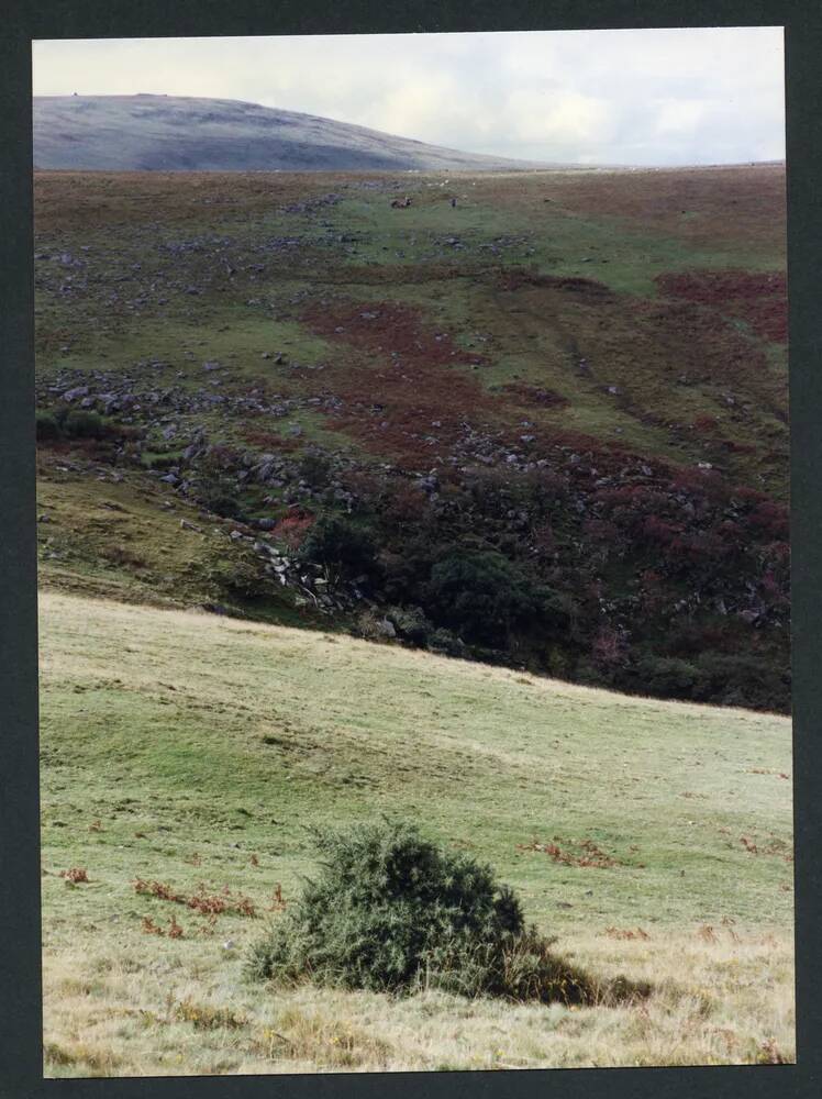 An image from the Dartmoor Trust Archive