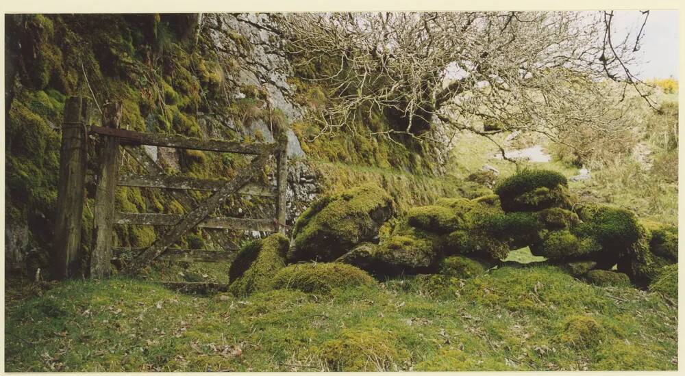 An image from the Dartmoor Trust Archive