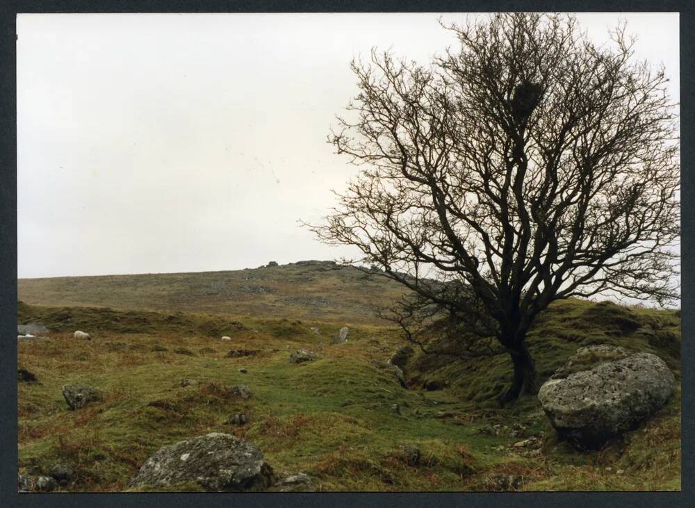 An image from the Dartmoor Trust Archive