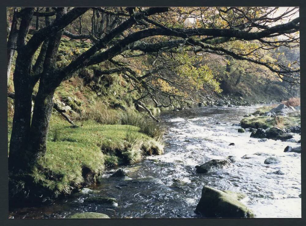 An image from the Dartmoor Trust Archive