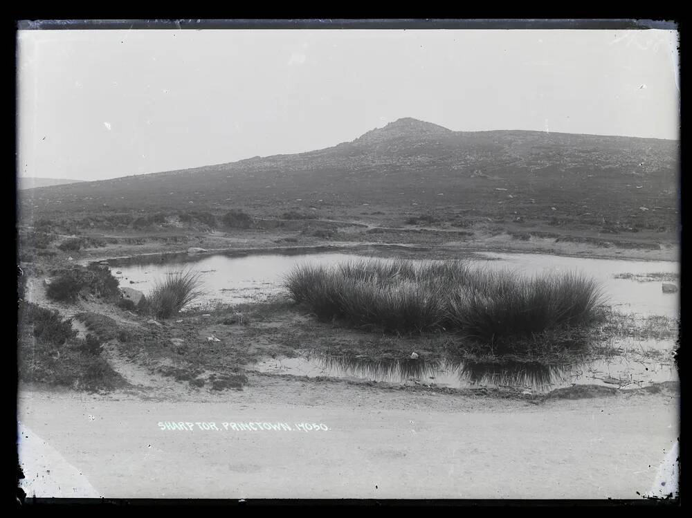 Sharp Tor, Lydford