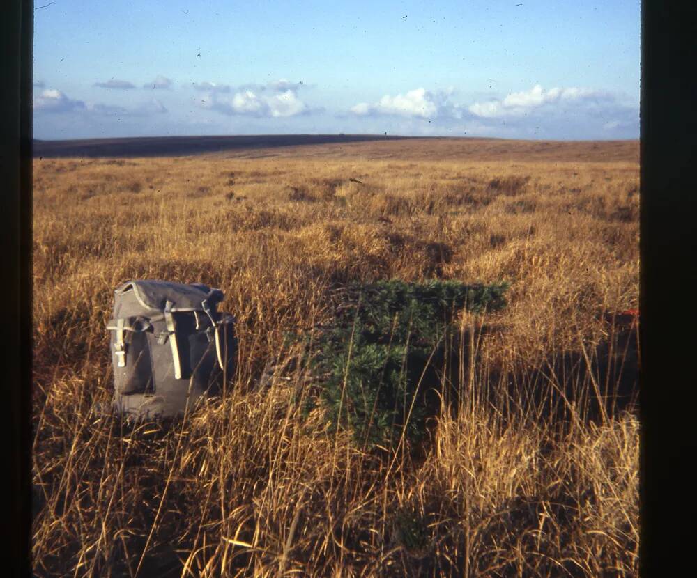 An image from the Dartmoor Trust Archive