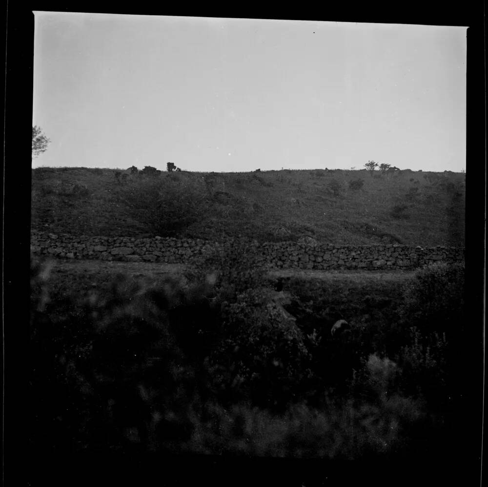 An image from the Dartmoor Trust Archive