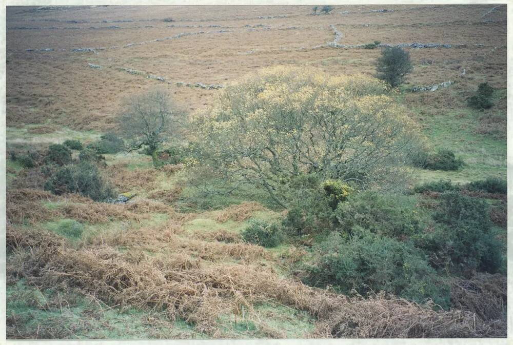 An image from the Dartmoor Trust Archive