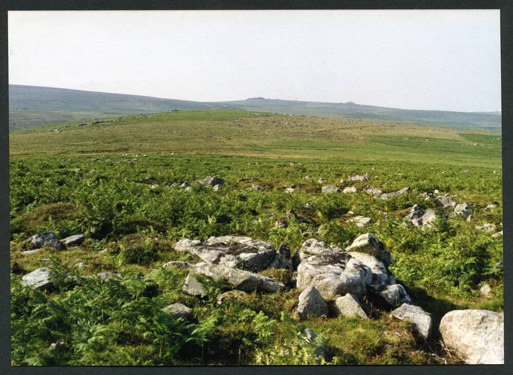 An image from the Dartmoor Trust Archive