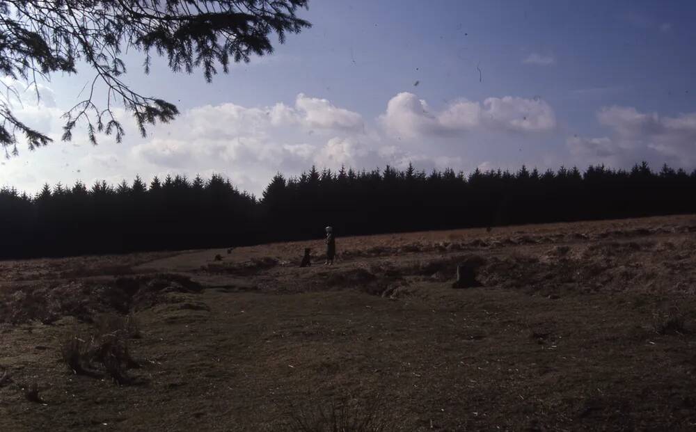 An image from the Dartmoor Trust Archive