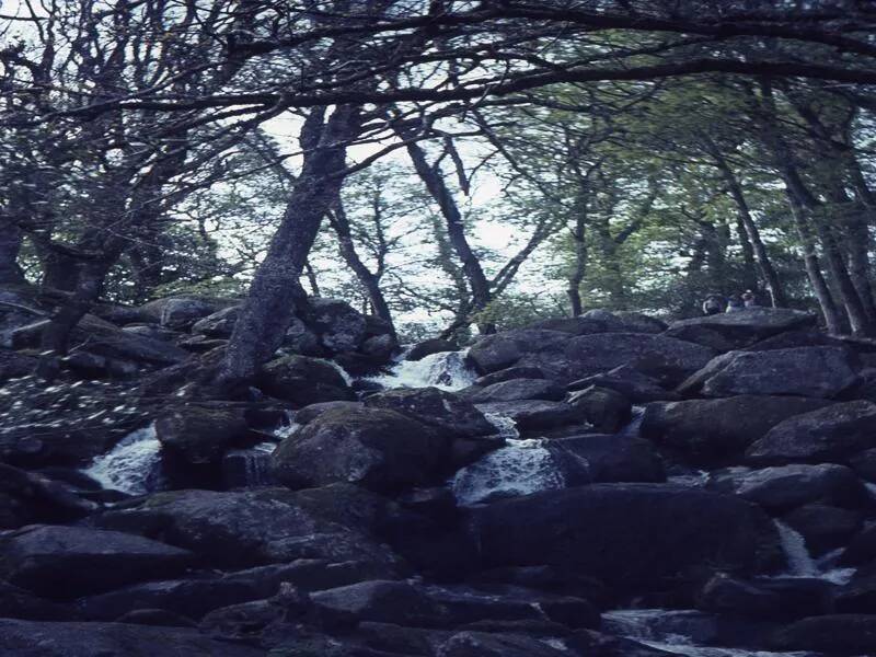 An image from the Dartmoor Trust Archive