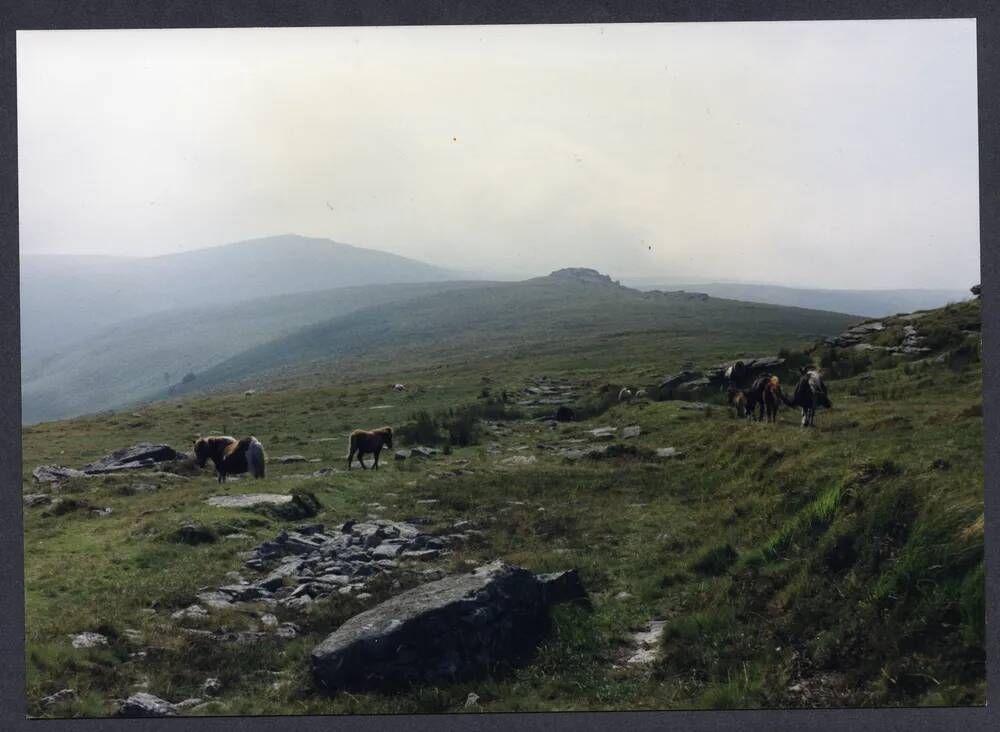 An image from the Dartmoor Trust Archive