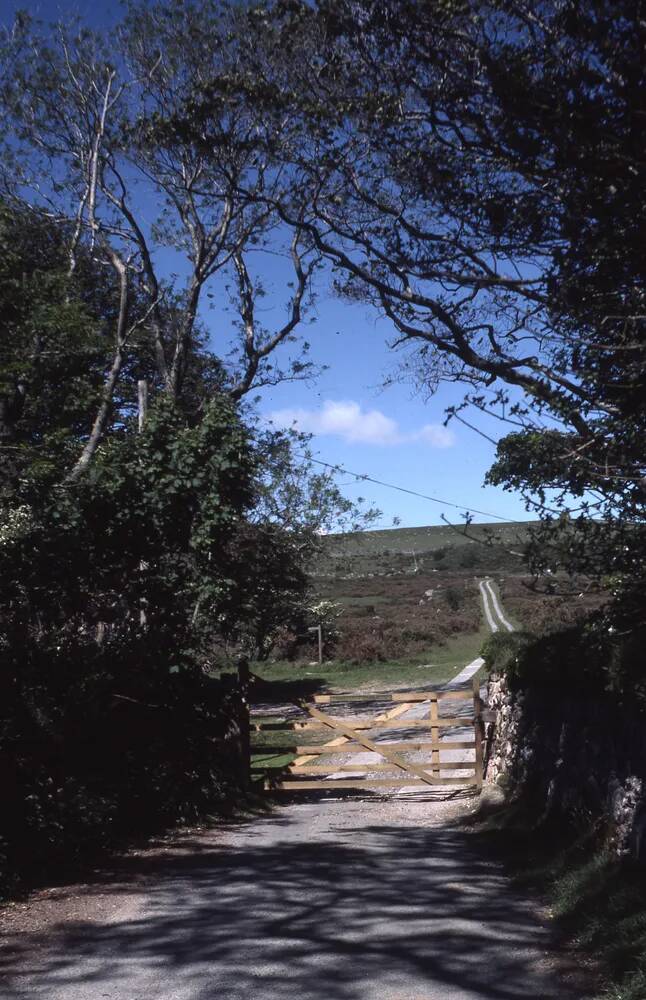 An image from the Dartmoor Trust Archive