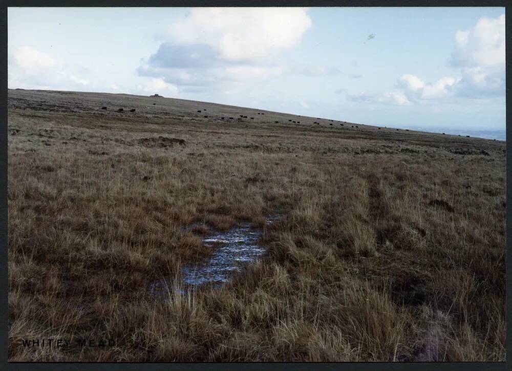 21/8 Whitey Mead above source of Bala Brook 7/2/1994