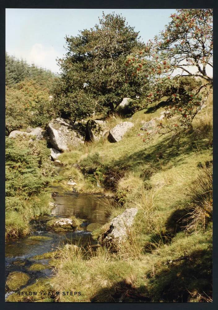 An image from the Dartmoor Trust Archive