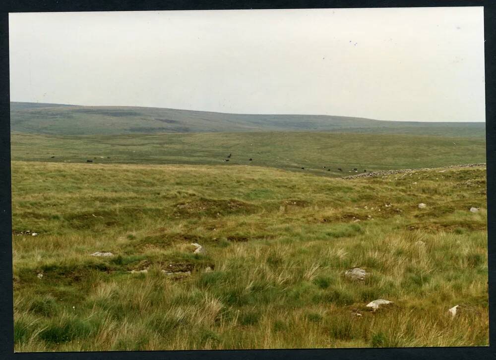 An image from the Dartmoor Trust Archive