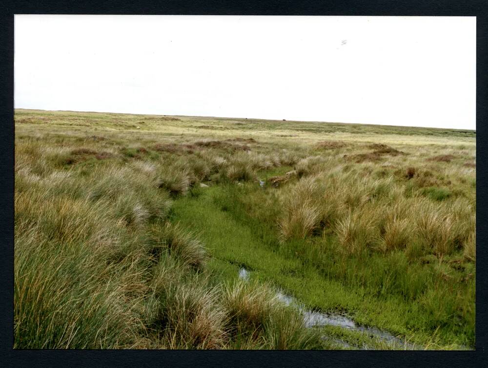 34/30 Near source of Avon, Aune Head Mires 20/7/1991