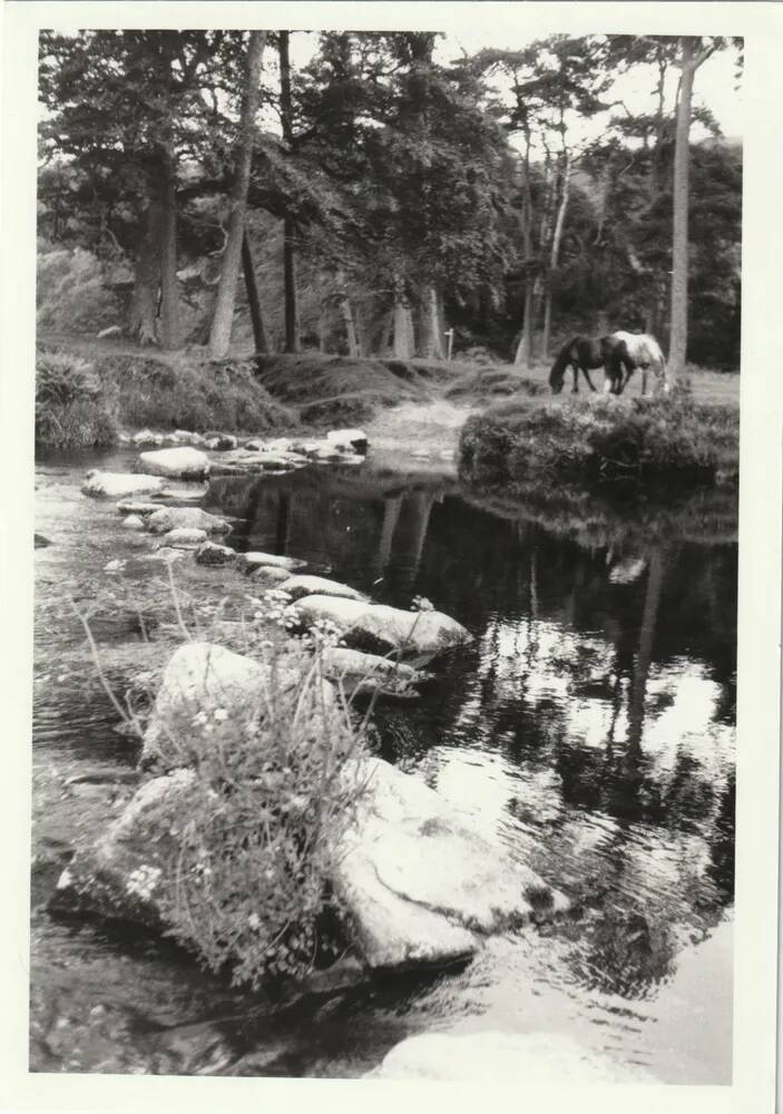 An image from the Dartmoor Trust Archive