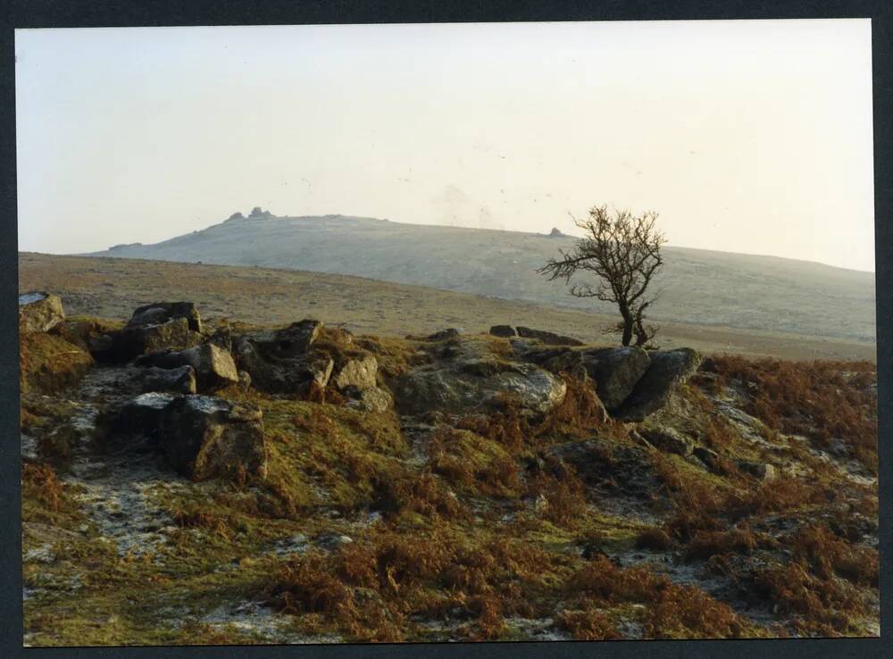 An image from the Dartmoor Trust Archive