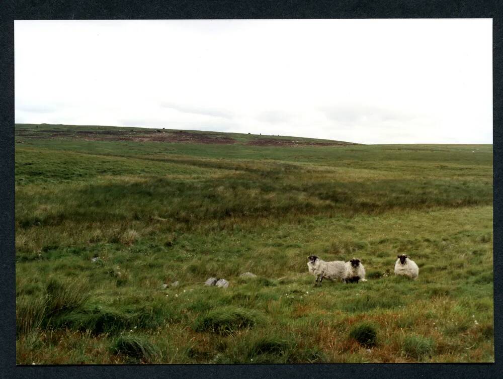 19/39 Confluence Little Aune with Avon 17/7/1991