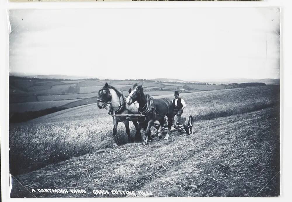 Grasscutting on a Dartmoor farm.