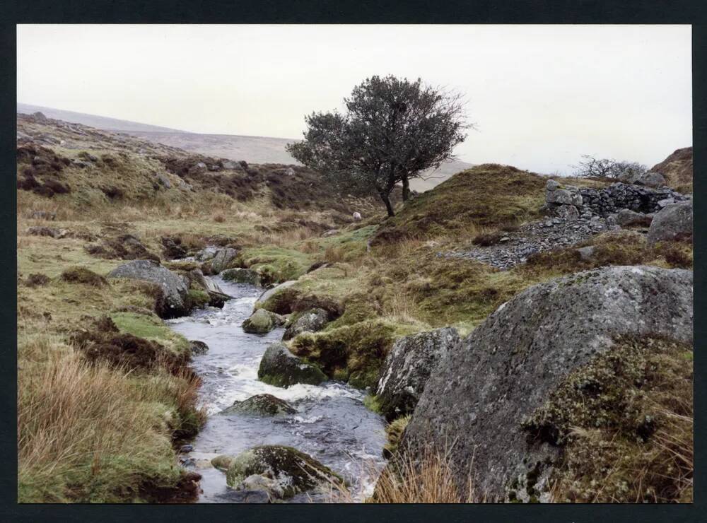 An image from the Dartmoor Trust Archive