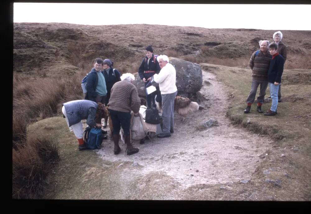 Walkers at Ducks' Pool