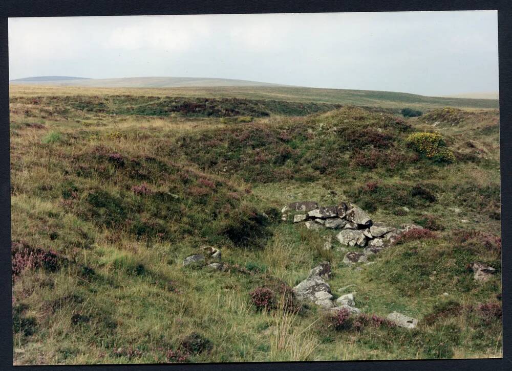 An image from the Dartmoor Trust Archive