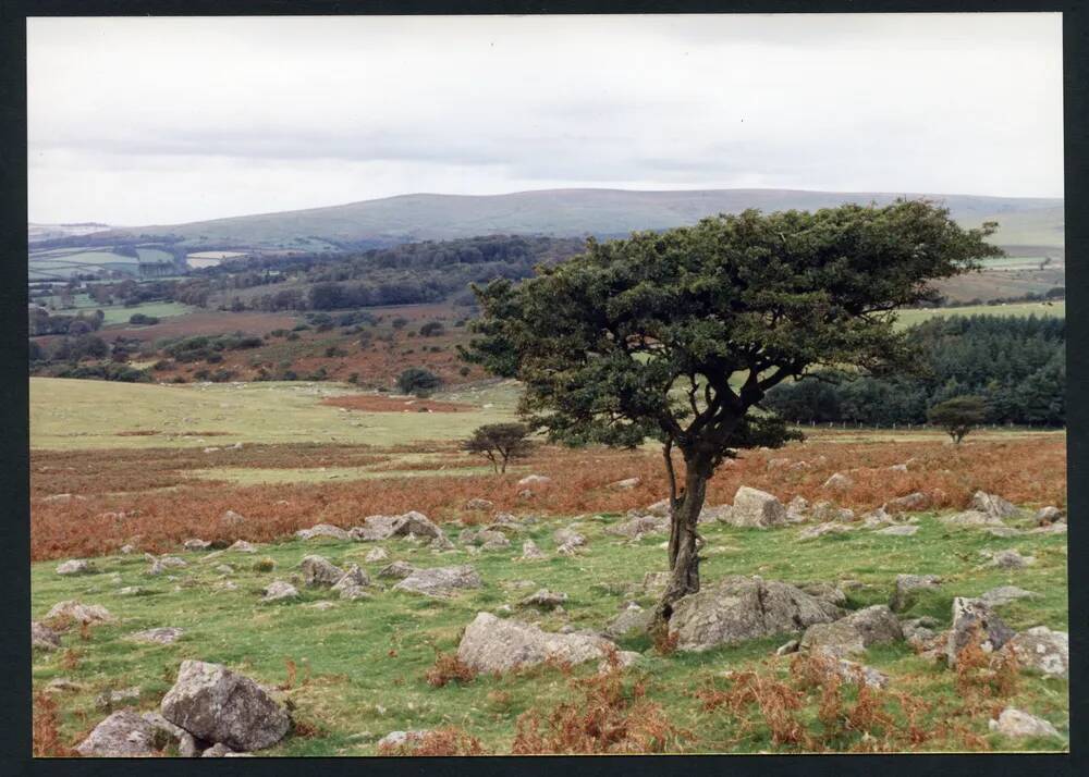 An image from the Dartmoor Trust Archive