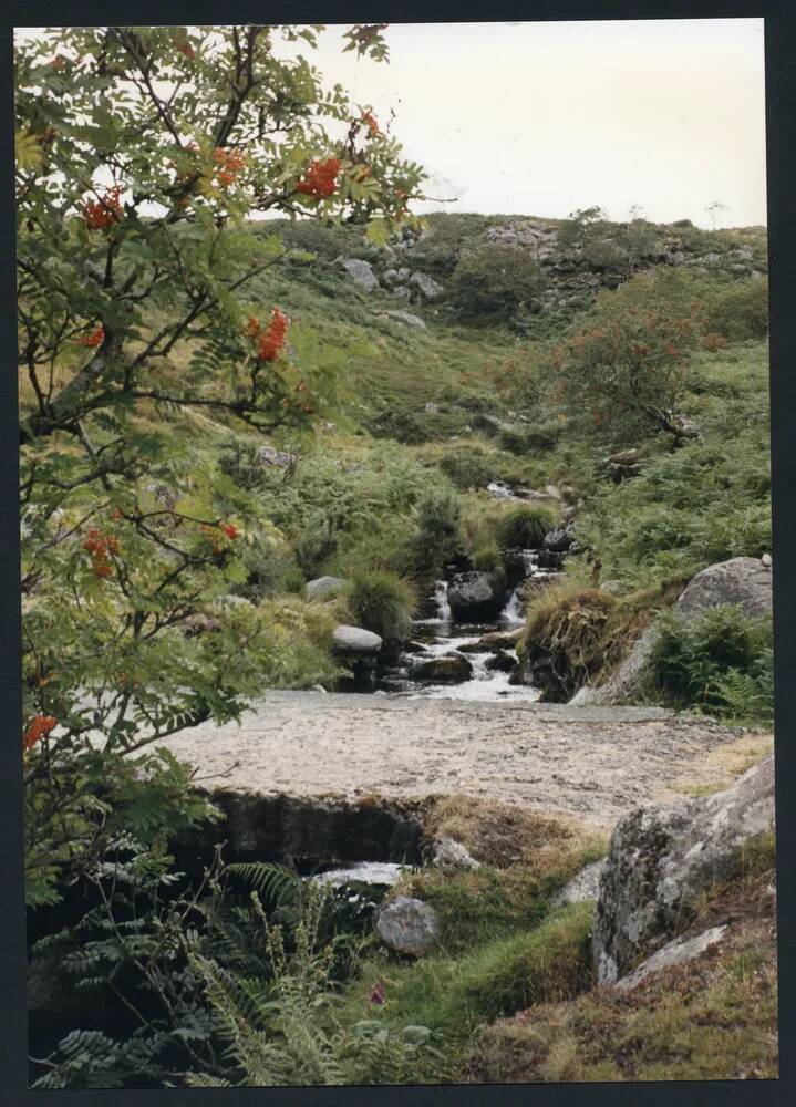 An image from the Dartmoor Trust Archive