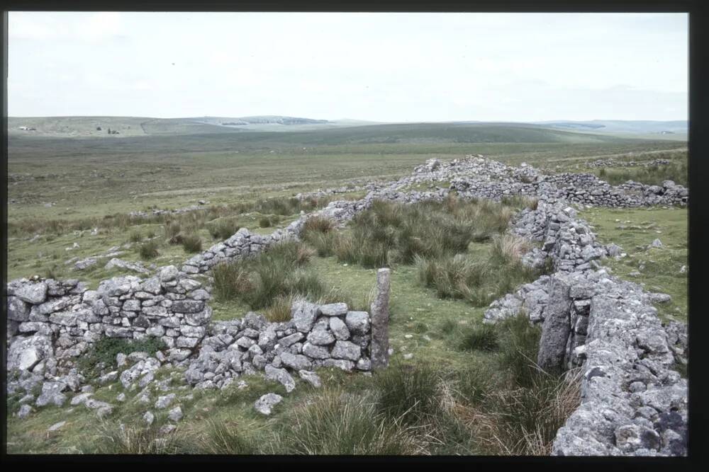 Fox Tor Farm