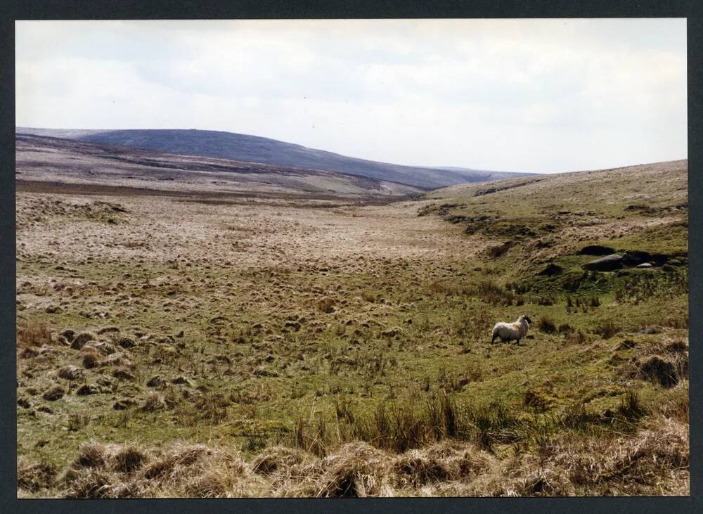 An image from the Dartmoor Trust Archive