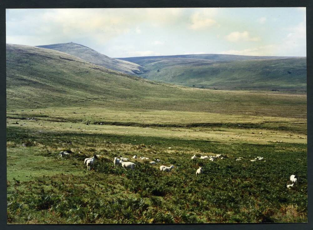 An image from the Dartmoor Trust Archive