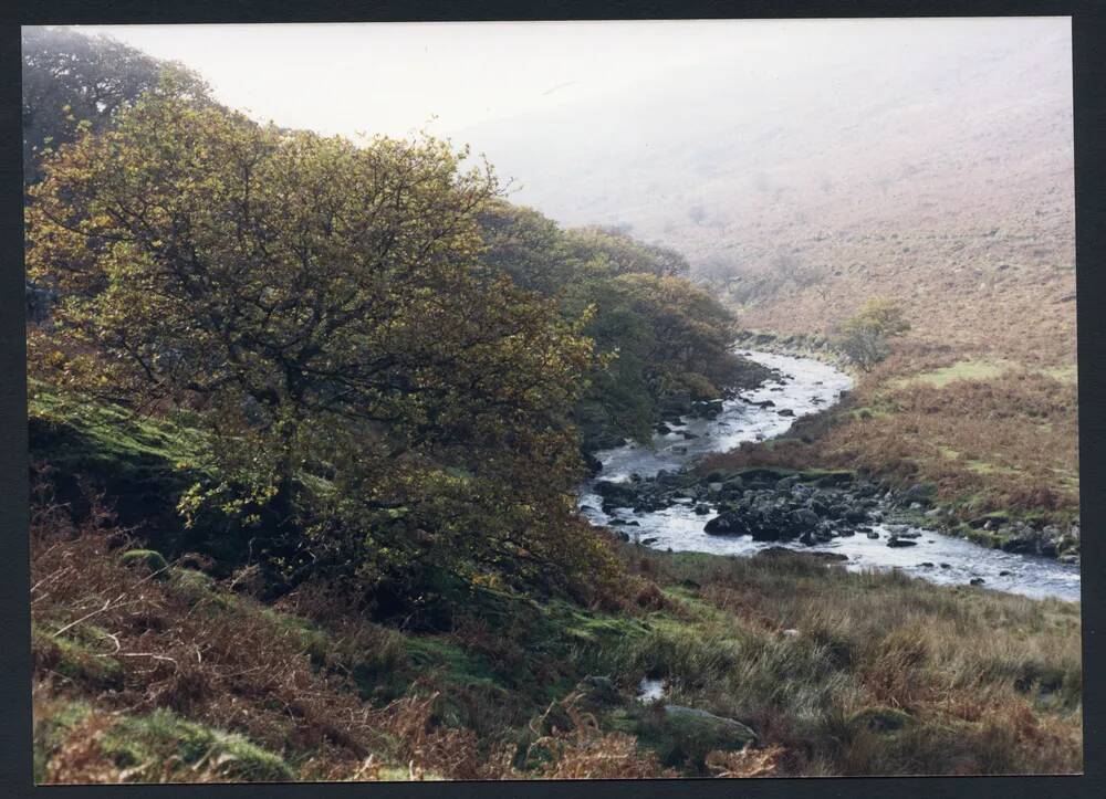 An image from the Dartmoor Trust Archive