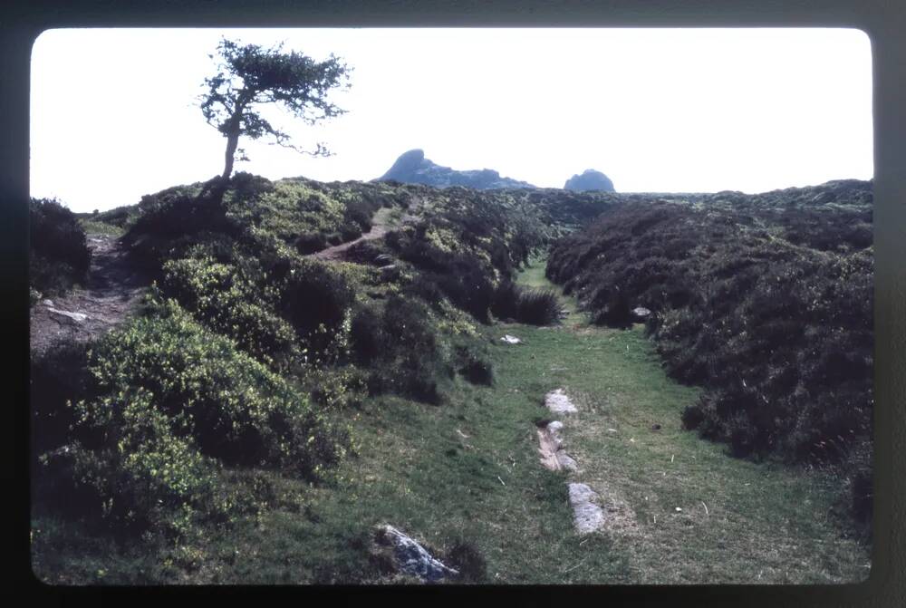 Haytor Tramway - Rubble Heap