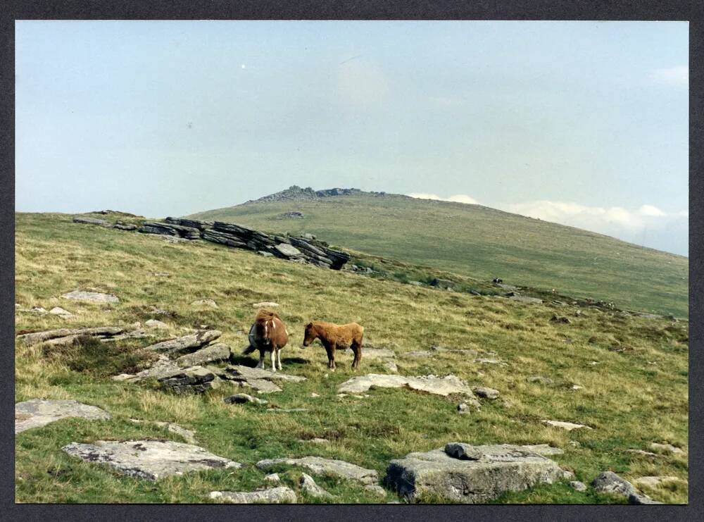 An image from the Dartmoor Trust Archive