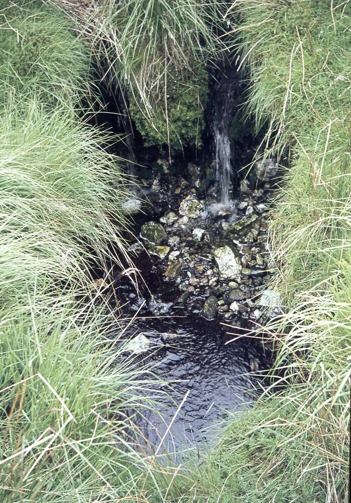 An image from the Dartmoor Trust Archive