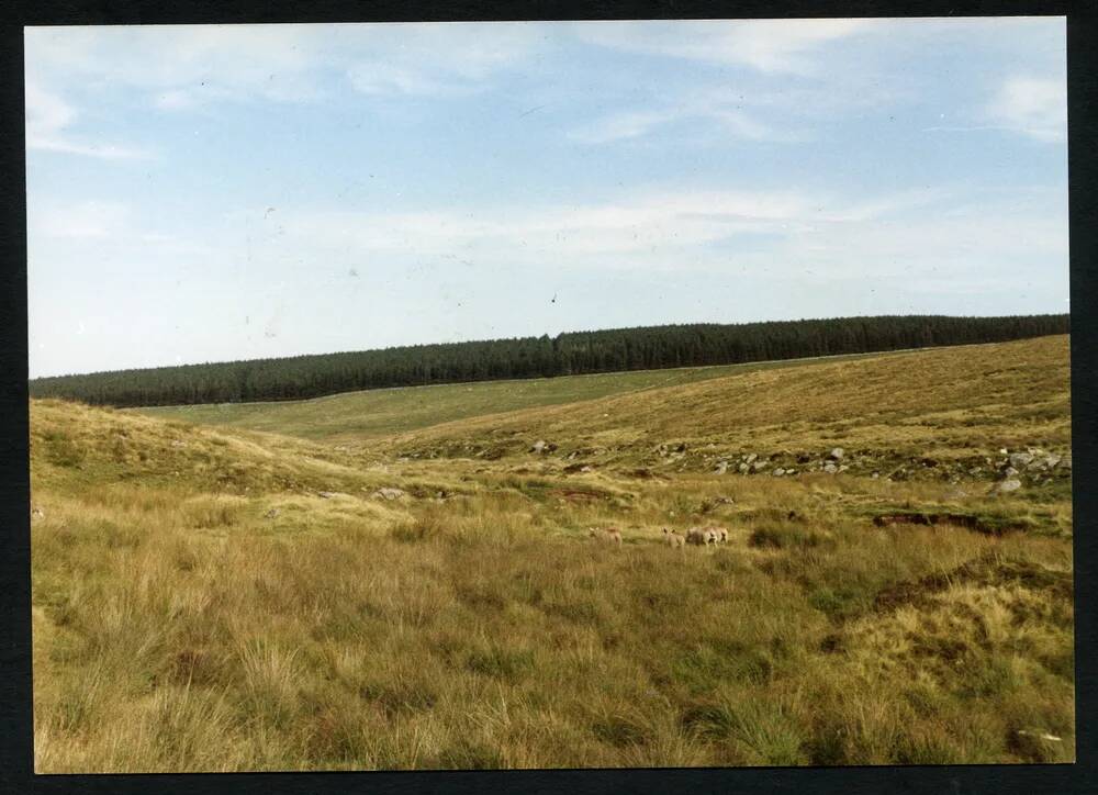 An image from the Dartmoor Trust Archive