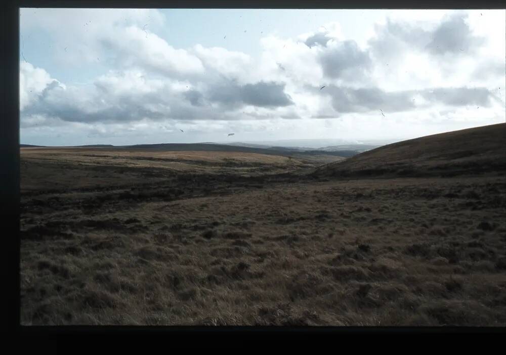 View from Yealm head