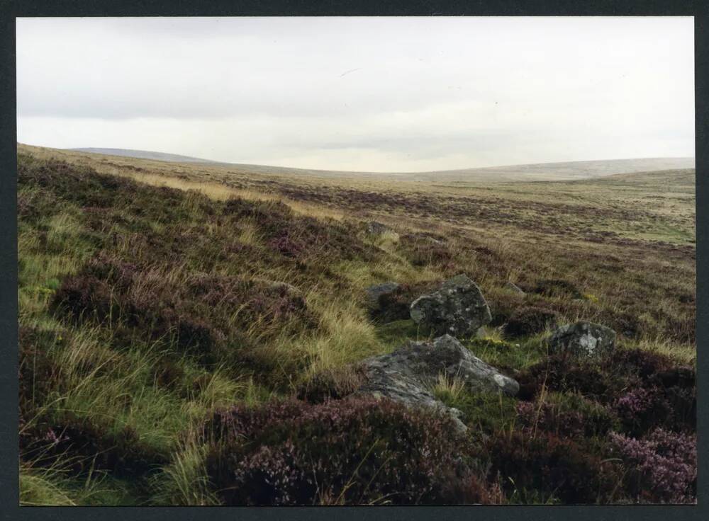 An image from the Dartmoor Trust Archive